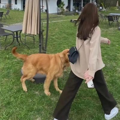 小凯撒